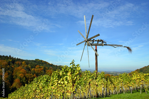 Photo: Wein 005 Wein 005