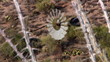 Desert Windmill