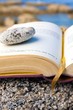 Livre au bord de mer