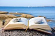 Lire