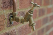 Garden Tap