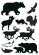 Wild animals