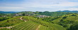 Vineyards Vineyards