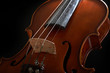 vintage violin over dark background vintage violin over dark background