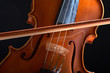 vintage violin over dark background vintage violin over dark background