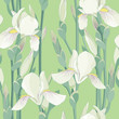 Seamless pattern with blooming white irises