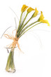 calla lilies in vase