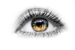 Eye with fire in the eyes Eye with fire in the eyes