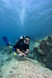 Taucherin im Mittelmeer Taucherin im Mittelmeer