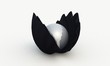 Blackshell - Whitepearl