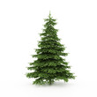 The Christmas tree ready to decorate
