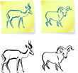 wild ram and gazelle on post it notes wild ram and gazelle on post it notes