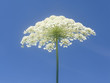 Sommerfeeling