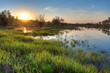 Foto: spring sunset landscape spring sunset landscape