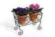 flower decoration