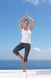 Pretty female balancing on a foot , practicing yoga