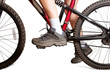 Woman on mtb bike isolated on white