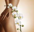 Body et Beaute