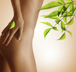 Body et Beaute