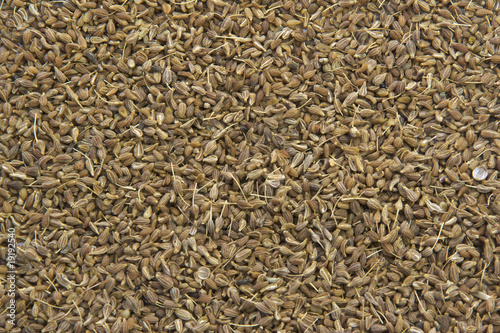Photo: Background of anise seeds. Background of anise seeds.
