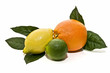 Citricos frescos Citricos frescos
