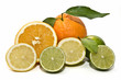 Citricos frescos partidos Citricos frescos partidos