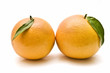 Pomelos recien cosechados