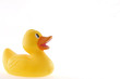 toy duck