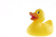 toy duck