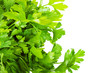 parsley isolated on white background....