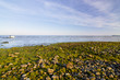 Am Südstrand von Göhren