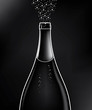 bottle