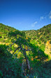 Mountains of Cyprus, Troodos waterfalls