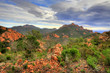 French Riviera / Esterel Mountains French Riviera / Esterel Mountains