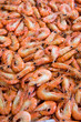 Prawn Raw Red