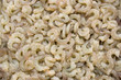 Prawn Raw White