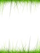 high resolution 3d green grass frame isolated on a white high resolution 3d green grass frame isolated on a white