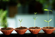 Plant growth-Beginnings Plant growth-Beginnings