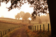 country road 1
