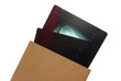 Xrays with medical envelope - isolated