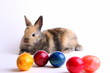 Osterhase