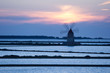 Trapani saline