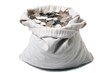 Canvas money bag sprouting crisp metal coins