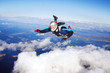 Skydiver