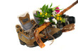 Wanderschuhe
