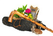 Wanderschuhe