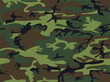 Camouflage II