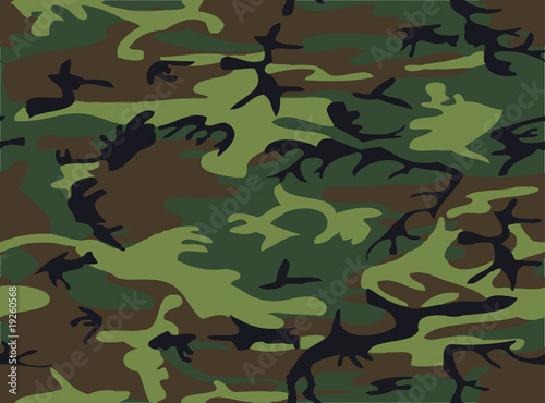 Camouflage II Camouflage II