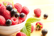 Raspberry with currant