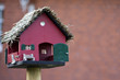 vogelhaus
